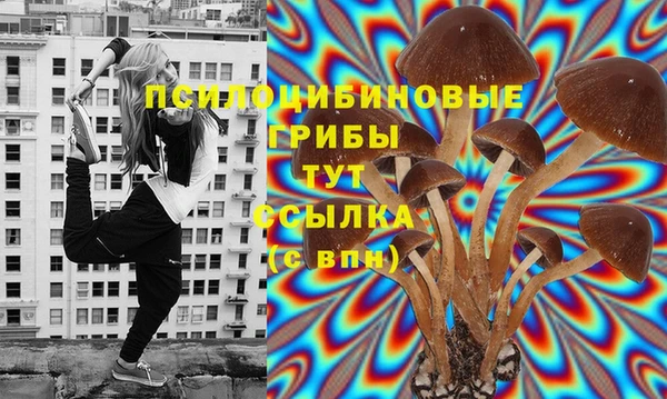 прущие крисы Баксан